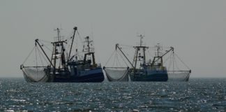 Pesca demersal en el Mediterráneo