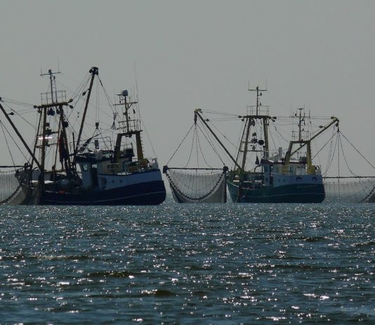 Pesca demersal en el Mediterráneo