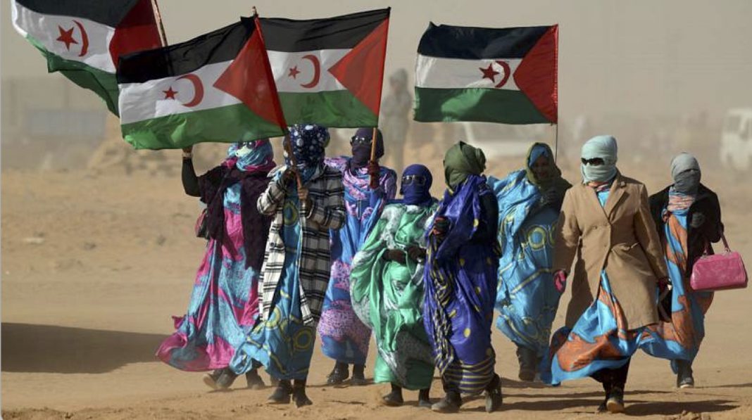 Sáhara refugiados con banderas saharauis