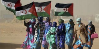 Sáhara refugiados con banderas saharauis