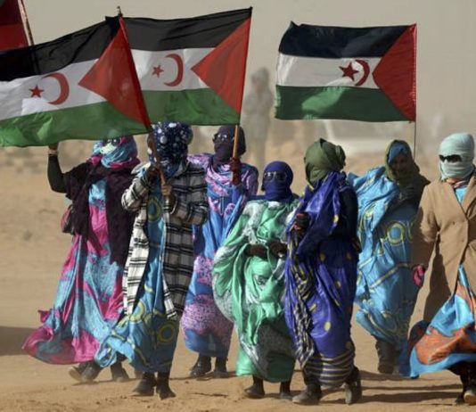 Sáhara refugiados con banderas saharauis