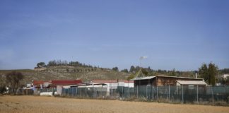 Asentamientos ilegales en la Vega de Chinchón