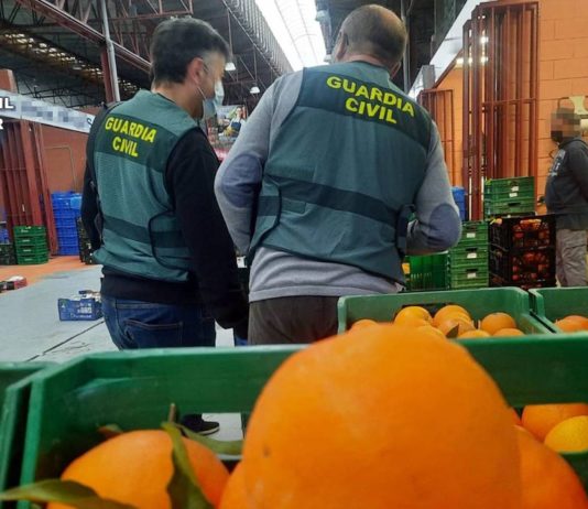 Guardia Civil naranjas egipcias Alicante