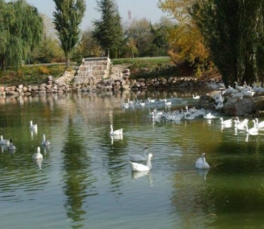 Móstoles Parque Natural de El Soto ocas