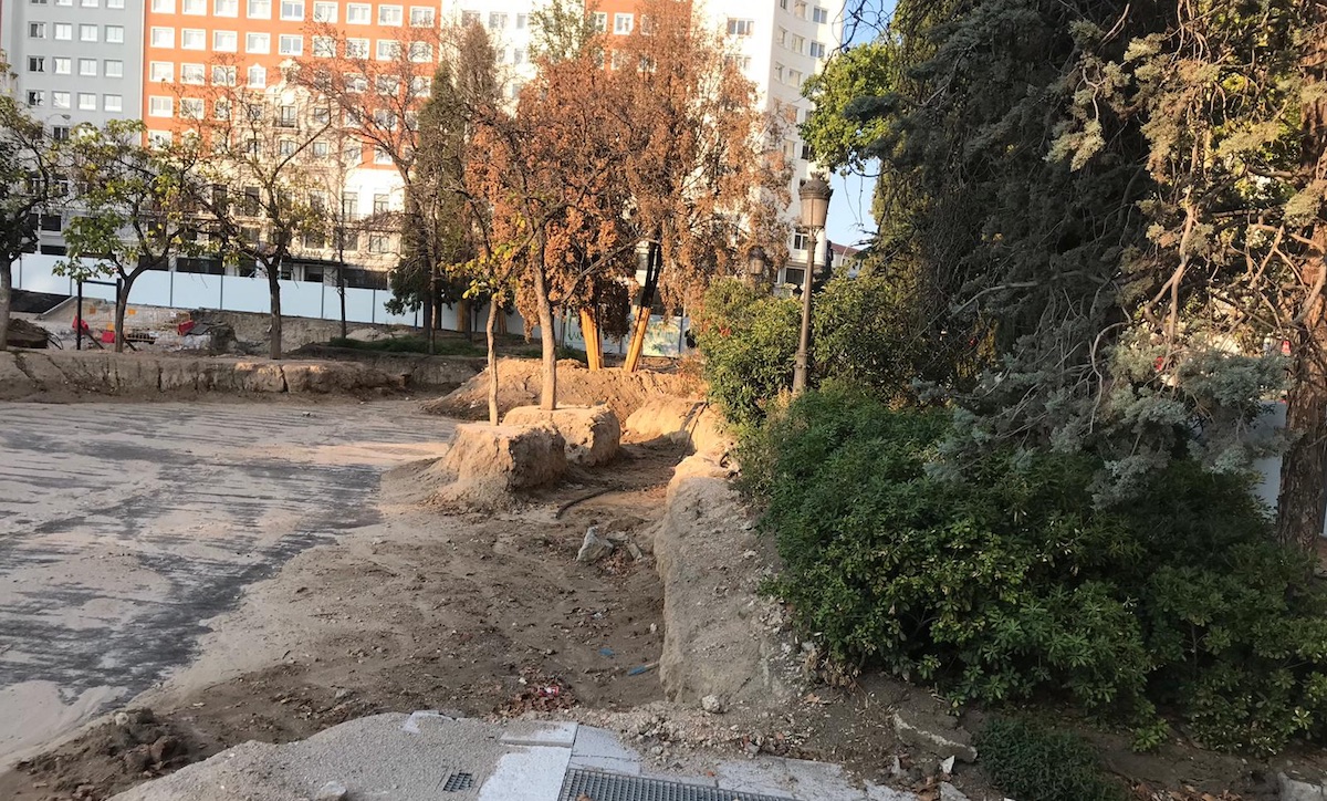 Ecologistas en Acción: arboles dañados en la Plaza de España de Madrid