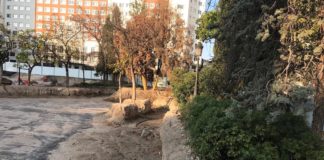 Ecologistas en Acción: arboles dañados en la Plaza de España de Madrid
