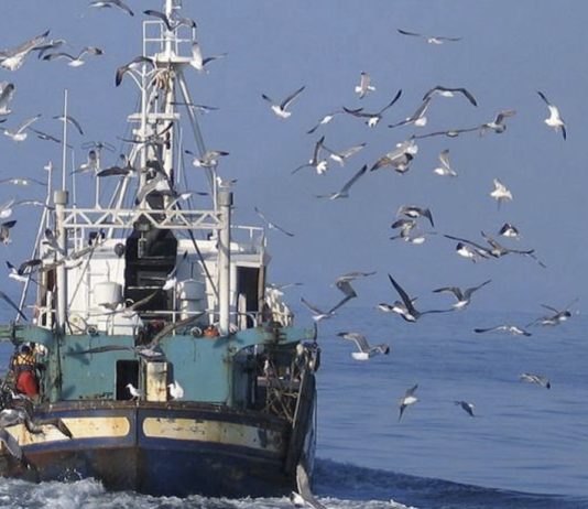 pesca pesqueros España