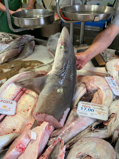 Tiburones entre mariscos en el mercado local de Sesimbra, Portugal, junio 2022