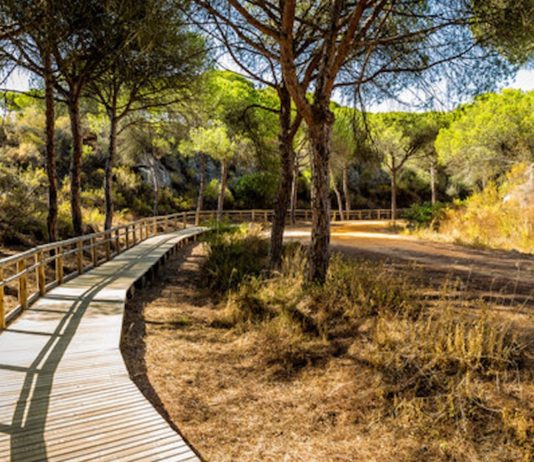 Doñana senderismo Matalascañas Mazagón