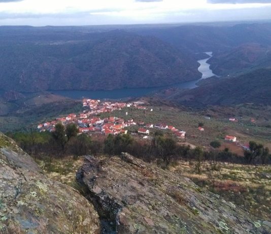 Freixo de Espada a Cinta