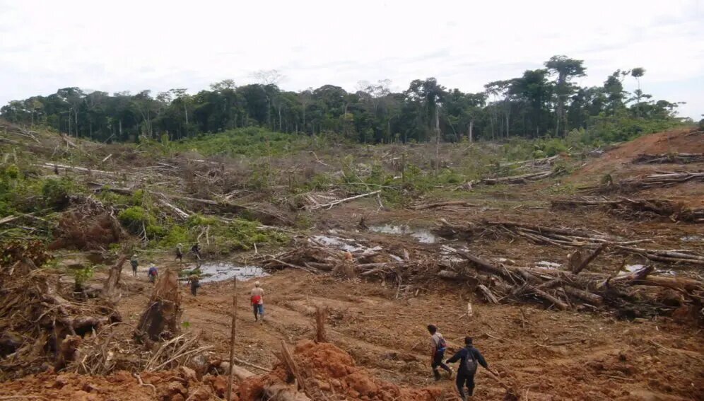 Deforestación bosque Amazonia Perú © Serfor Perú