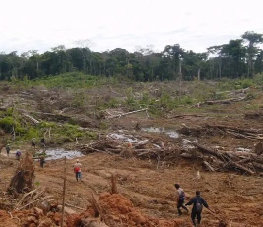 Deforestación bosque Amazonia Perú © Serfor Perú