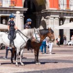 Madrid: Policía Nacional Montada en la Plaza Mayor 26SEP2017