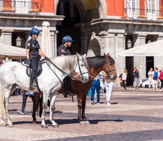 Madrid: Policía Nacional Montada en la Plaza Mayor 26SEP2017