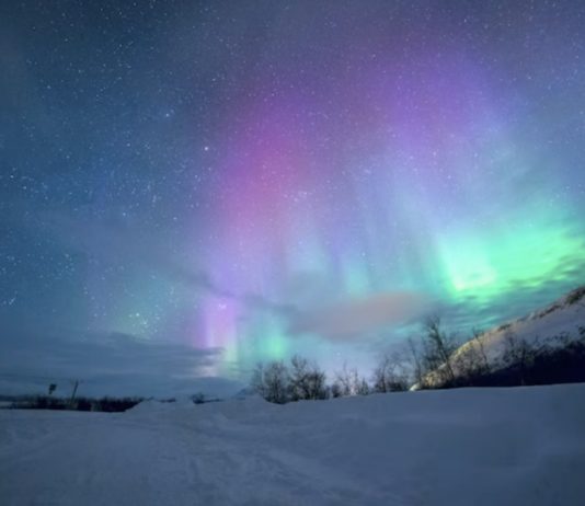 Luces polares