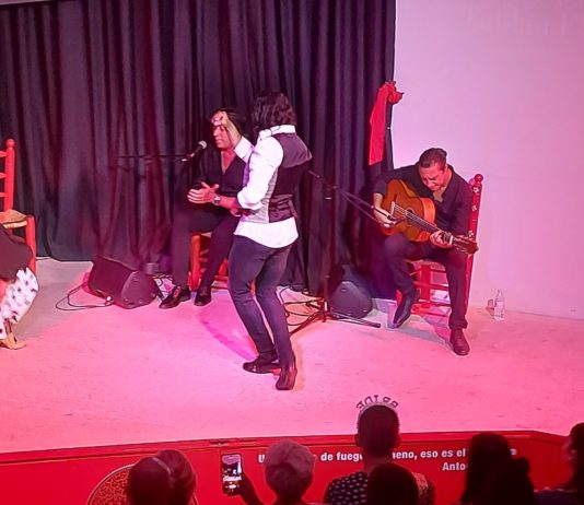 La Alboreá, cante toque y baile en Granada, 13AGO23
