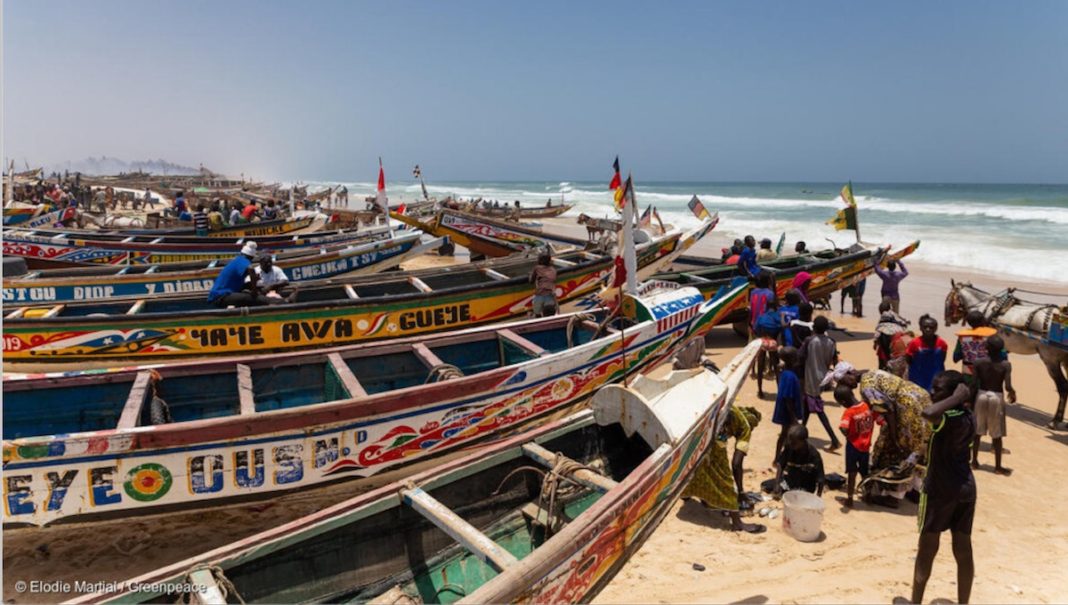Senegal: Puerto de pescadores Fass Boye © Elodie Martial / Greenpeace
