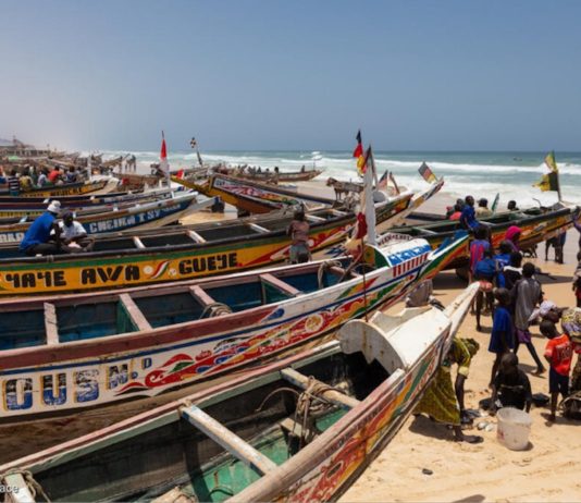 Senegal: Puerto de pescadores Fass Boye © Elodie Martial / Greenpeace