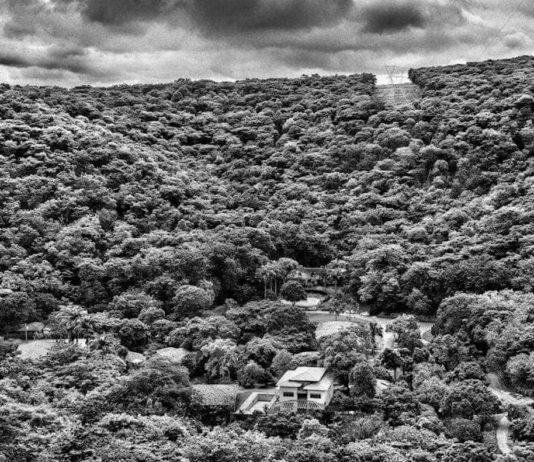 Salgado, Amazonia, selva y civilización