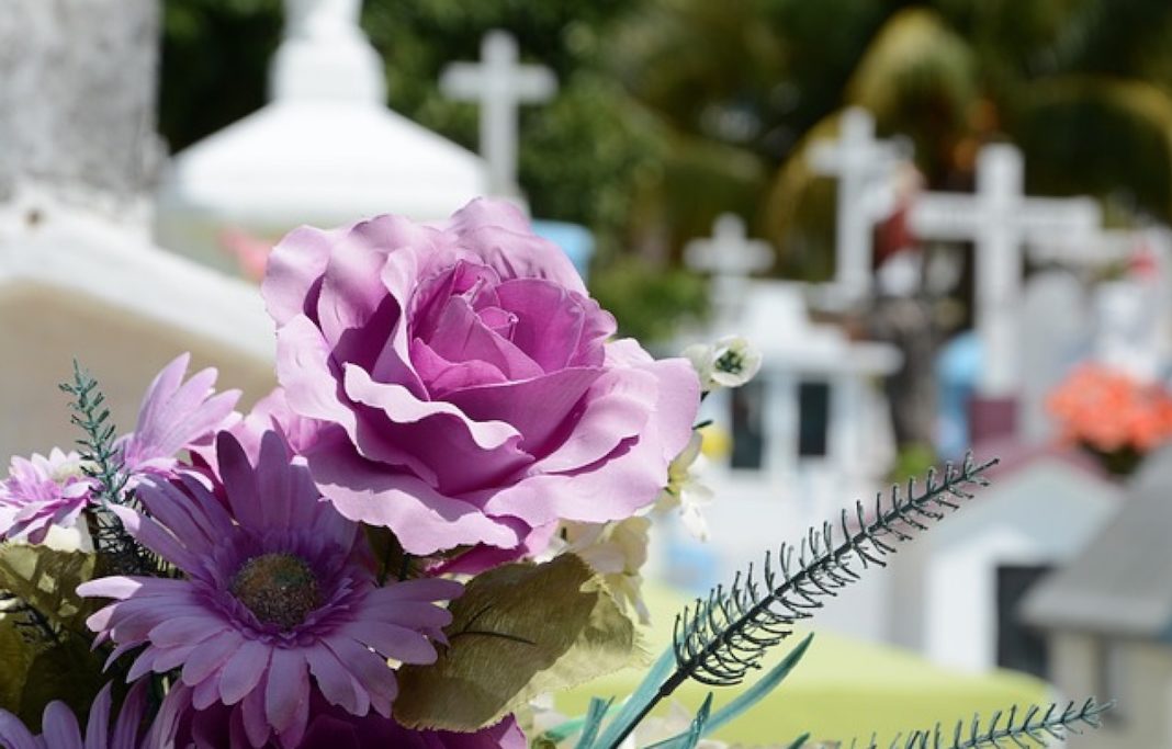 Cementerios flores