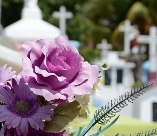 Cementerios flores