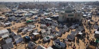 Decenas de miles de familias palestinas, desplazadas de sus hogares en Gaza, improvisaron campamentos en la ciudad de Rafah, en el extremo sur de la Franja © Wafa