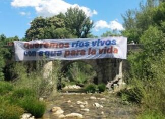 Río Tajo