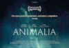 «Animalia», una visión crítica de Marruecos entre el valor del dinero y la religión