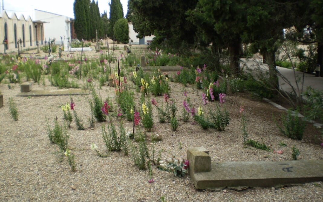 La fosa en el cementerio de Alagón sin ninguna señalización con restos de personas fusiladas por los sublevados. Durante muchos años unos pequeños listones de madera indicaron la presencia de las tumbas.