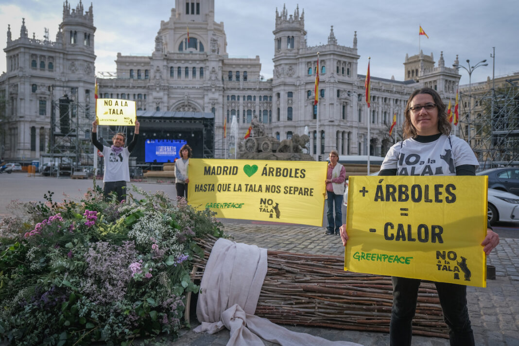 Madrid. Greenpeace y la plataforma «No a la Tala» han llevado hasta la entrada del Ayuntamiento de Madrid un gran ramo de boda para entregárselo al alcalde de Madrid. ©Greenpeace / Pedro Armestre