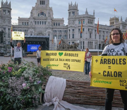 Madrid. Greenpeace y la plataforma «No a la Tala» han llevado hasta la entrada del Ayuntamiento de Madrid un gran ramo de boda para entregárselo al alcalde de Madrid. ©Greenpeace / Pedro Armestre