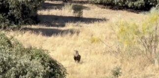 Fotograma de un vídeo de la asociación vecinal «Salvemos Montegancedo»