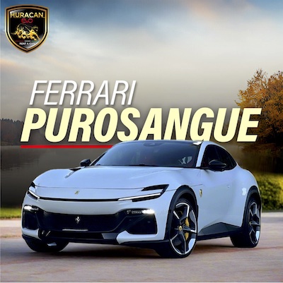 Ferrari-purosangue