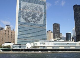 ONU80: manual para superar la bancarrota de las Naciones Unidas