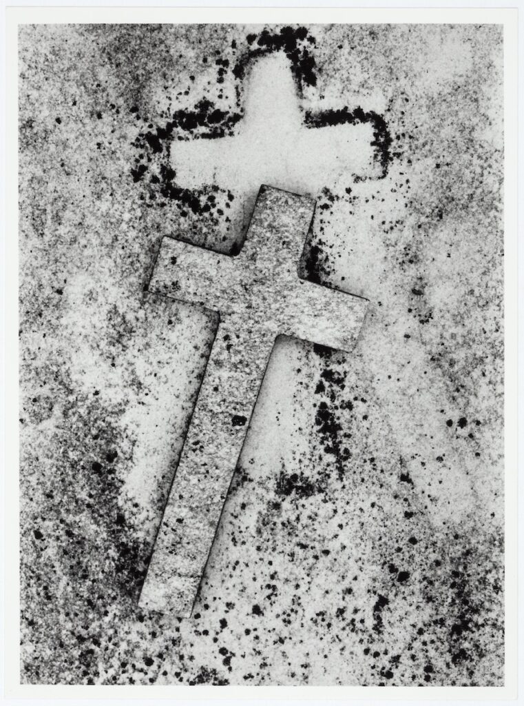 TERRE: Mort poética de les coses petites, 1998