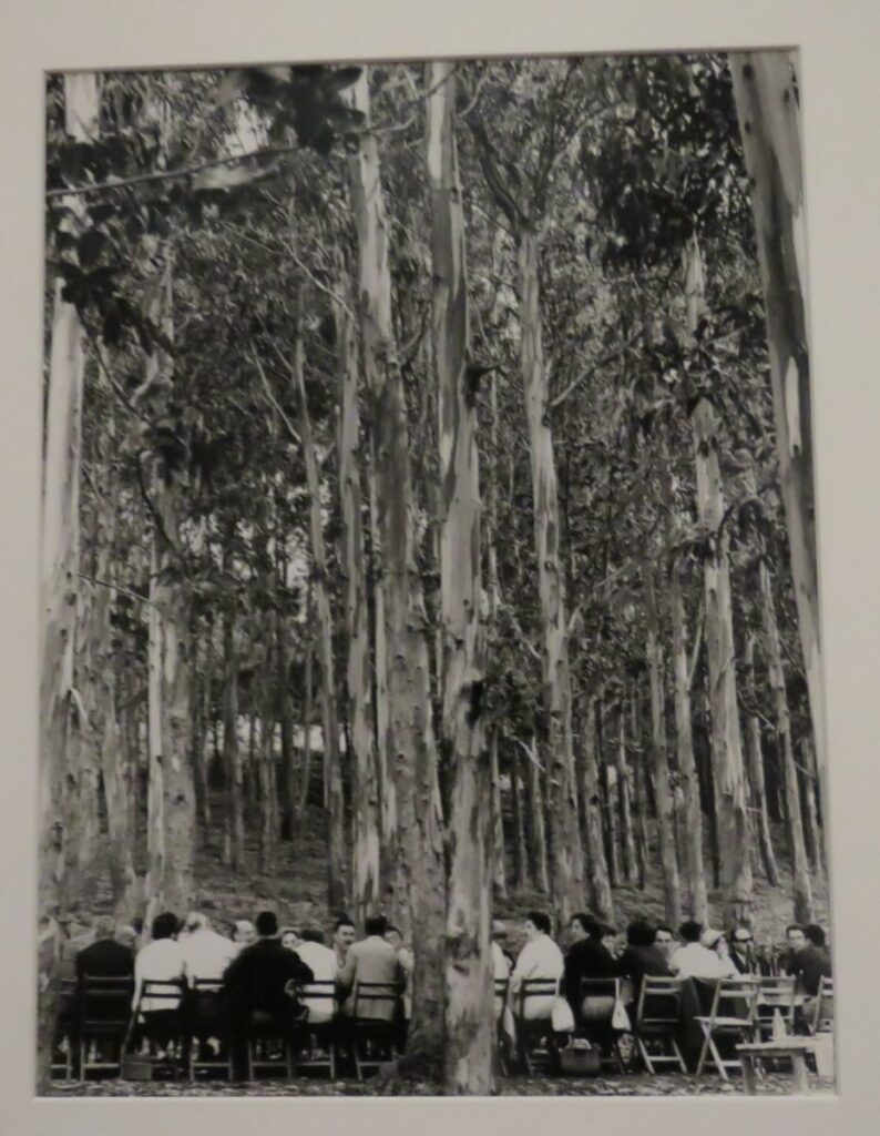 TERRE: Sant Boi de Llobregat, merienda en el bosque, 1958