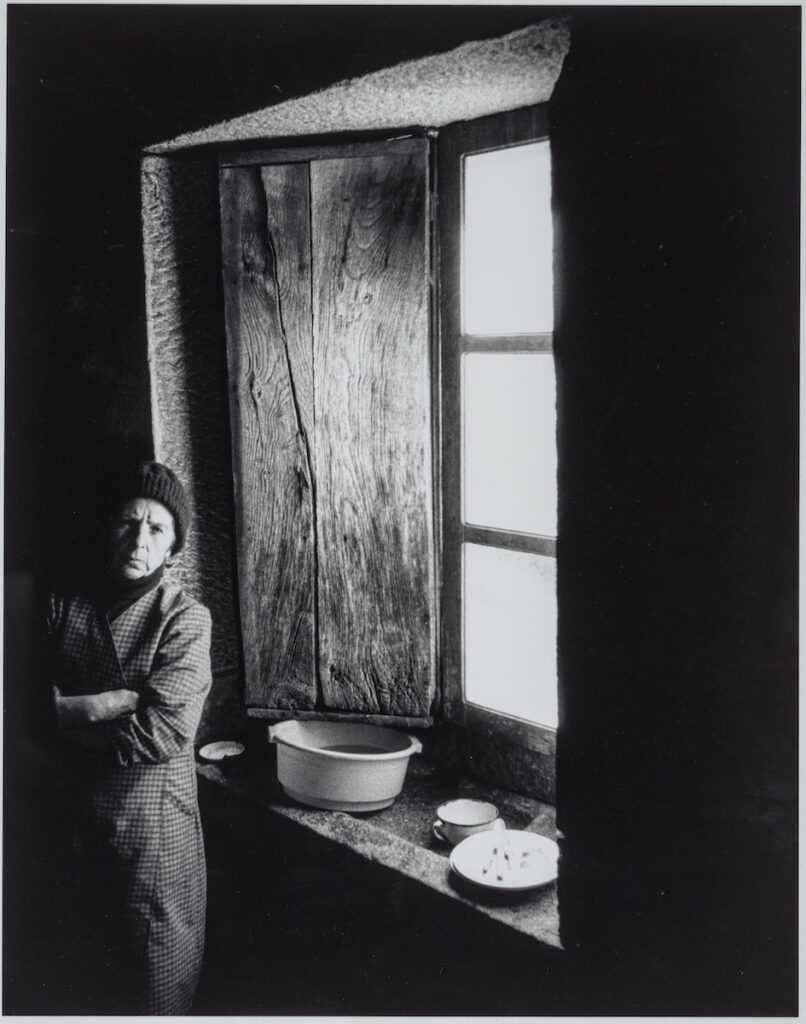 TERRE: mujer en la ventana