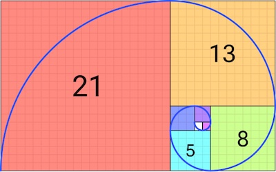 Fibonacci: «espiral de caracol»