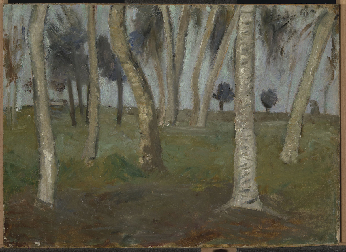 «Paisaje de humedal con troncos de abedul». Paula Modersohn-Becker
