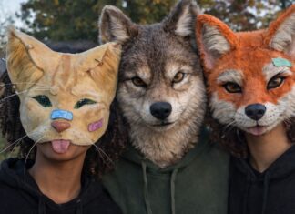 Dossier: La psique humana en la transición hacia un nexo con la IAnidad