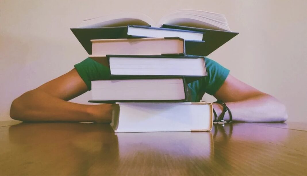 Student Experience Madrid ©pexels.photo