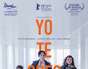 «Yo te creo»: historia real de un juicio en Bélgica por la custodia de los hijos