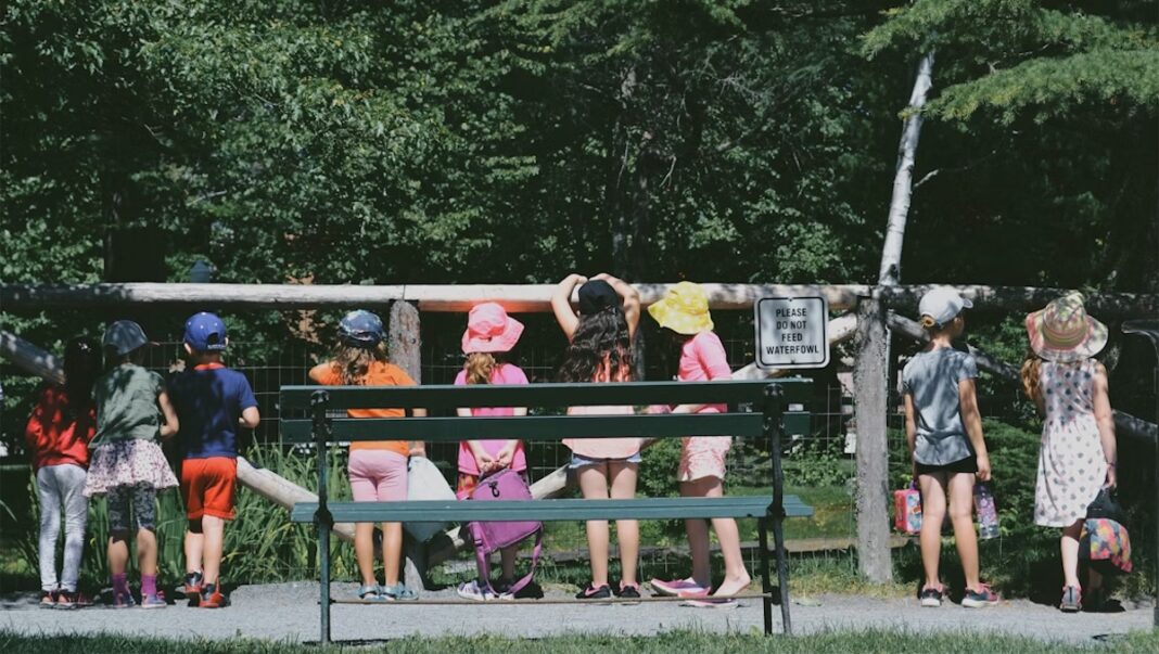 Campamentos english-plus.es ©pexels-photo-1536883968402