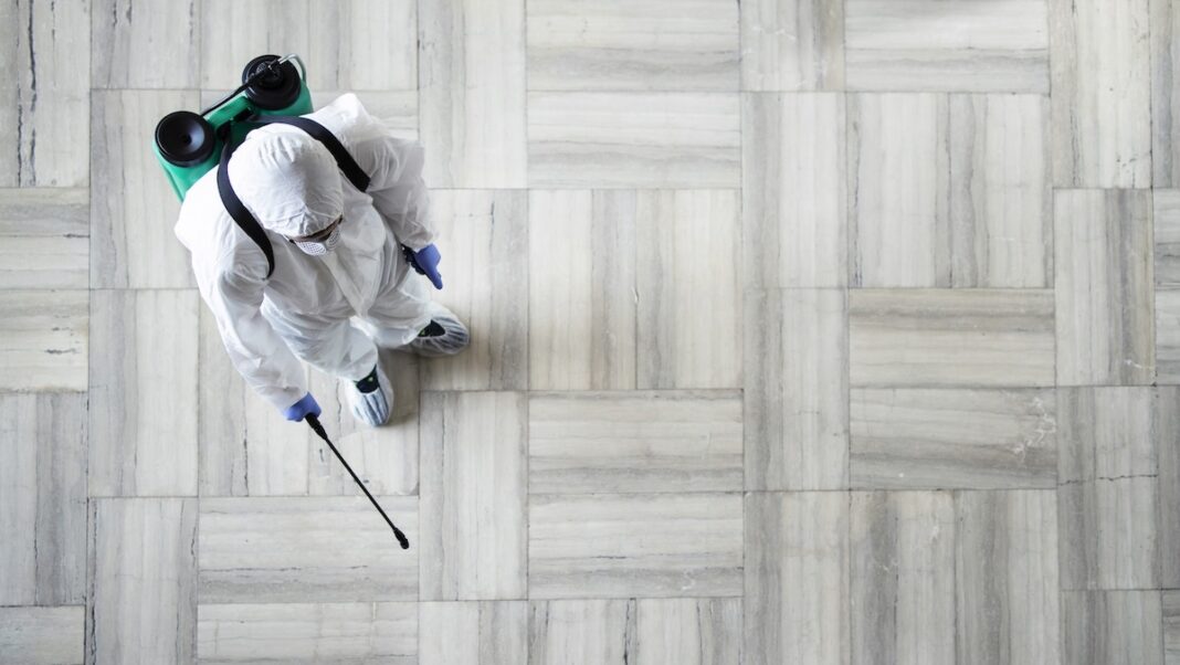 Plagas protección desinfrstación pestrapid ©archivopub