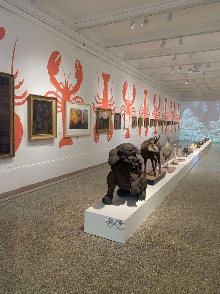MAH Suiza. Sala de animales. Exposición Observatoires. Carte Blanche. John M.Armleder