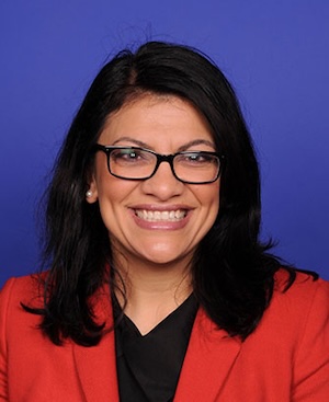 Rashida Tlaib, 116th Congreso, EEUU