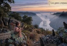 Los gatos crepusculares