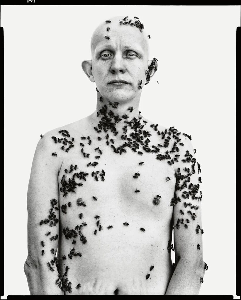 Ronald Fischer. Apicultor. California, 1981
