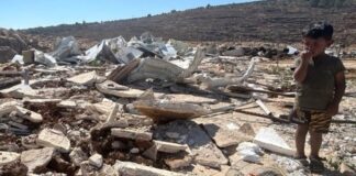Un niño permanece entre los escombros después de que las autoridades israelíes demolieran la casa de su familia y otras estructuras residenciales y financiadas por donantes en una comunidad beduina en la gobernación de Qalqiliya el 14 de julio de 2026. ©OCHA