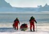 Liv Arnesen pide a Noruega una moratoria sobre el krill antártico Las exploradoras Liv Arnesen y Ann Bancroft en una expedición en la Antártida ©Agnes SK : IPS